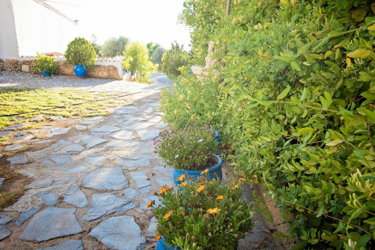 Cuevas De Rolando Guest House Guadix Exterior photo